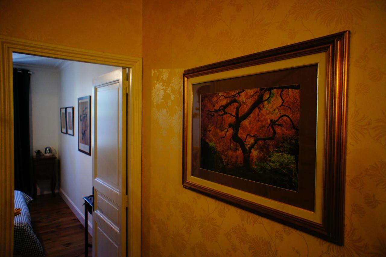 La Maison Verte Albi Eksteriør billede